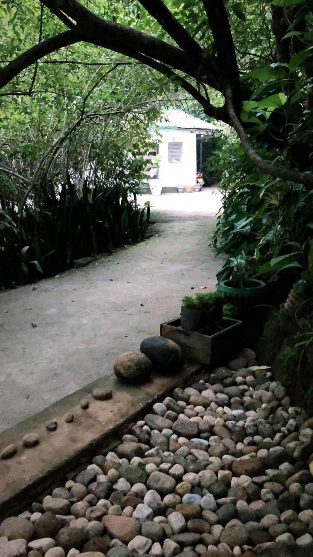 Surrey Bird Sanctuary & Holiday Resort Welimada Exterior photo