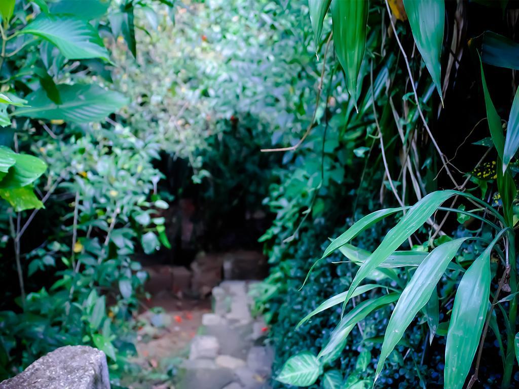 Surrey Bird Sanctuary & Holiday Resort Welimada Exterior photo