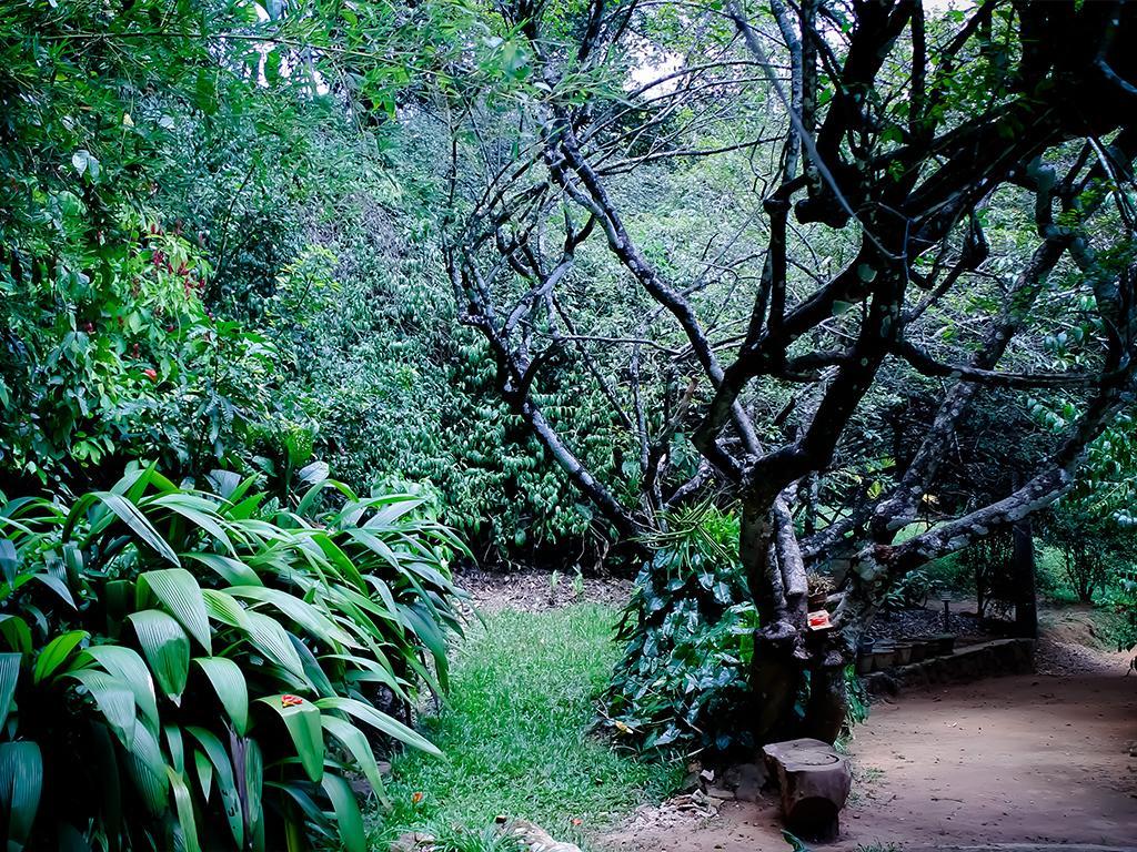 Surrey Bird Sanctuary & Holiday Resort Welimada Exterior photo